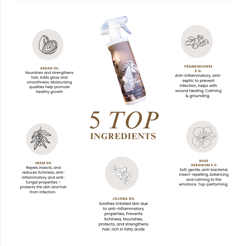 Pony Perfector 3-in-1 Leave-In Horse Hair Remedy – Detangle, Shine & Protect